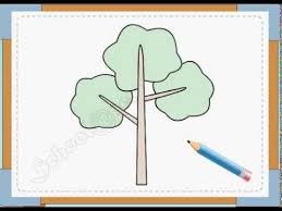 Video hướng dẫn trẻ vẽ cây ( Phần 2)